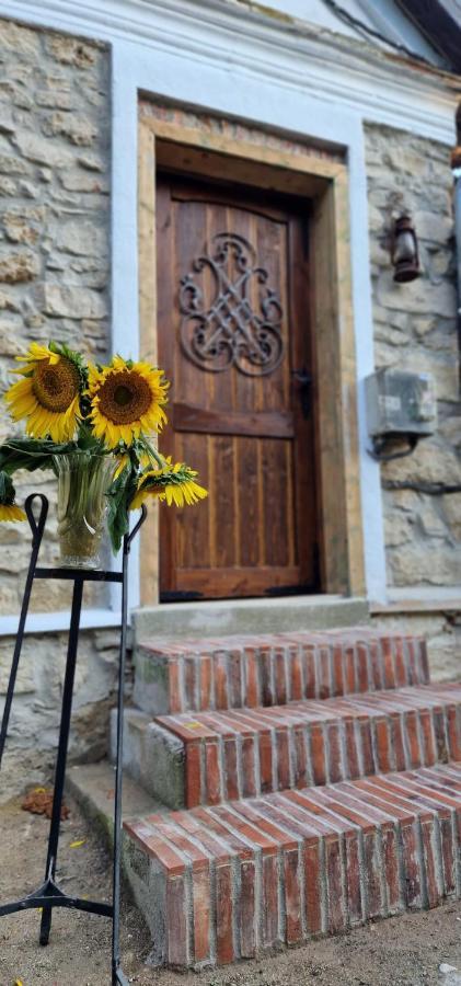 Casageo Cheile Nerei Villa Socolari Exterior photo